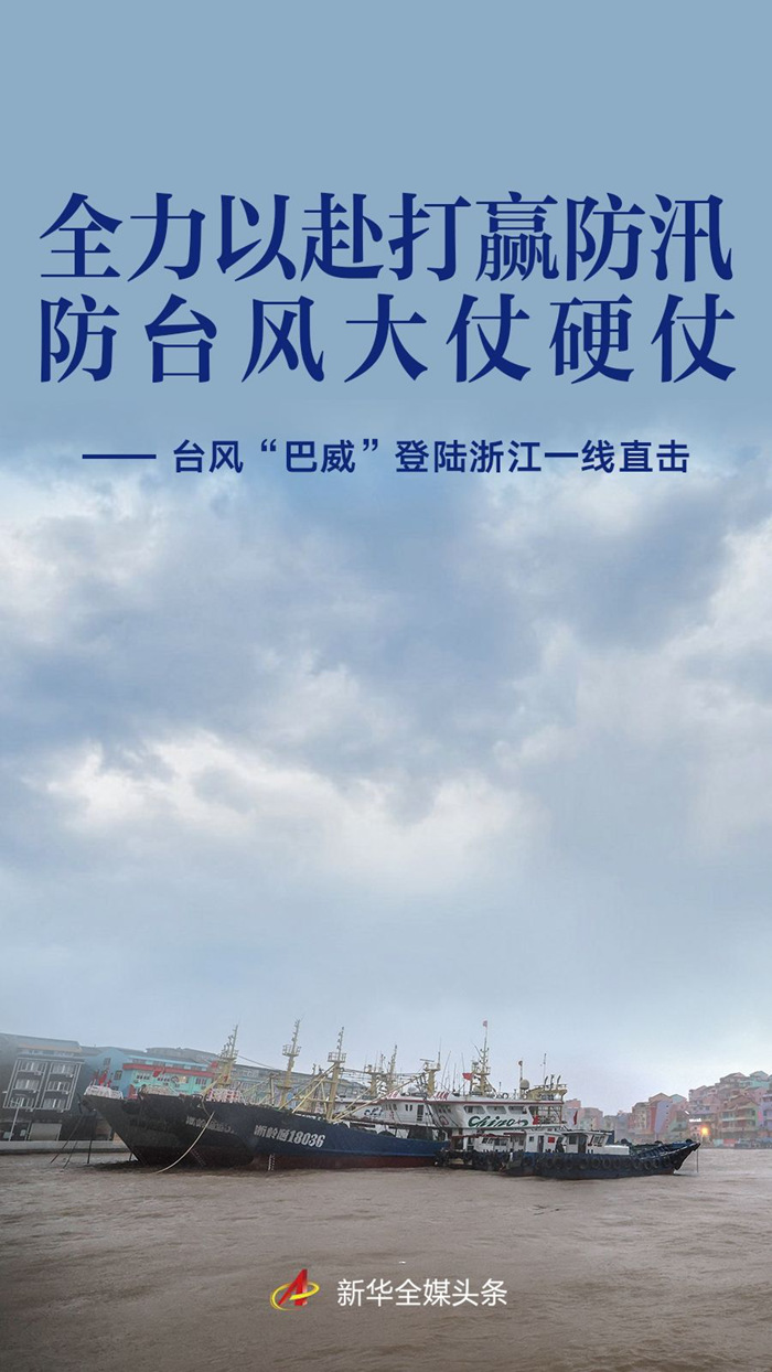 绿茵体育